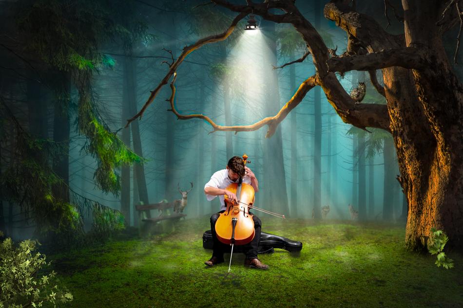 man plays Cello in forest beneath lantern