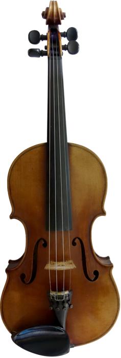 Violin at white background