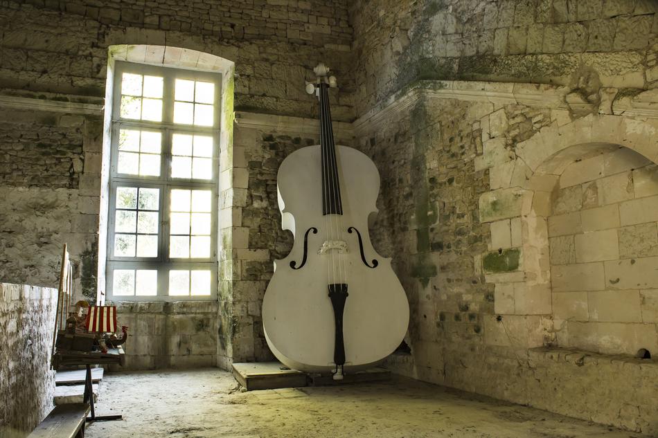 Double Bass as a Music Instrument