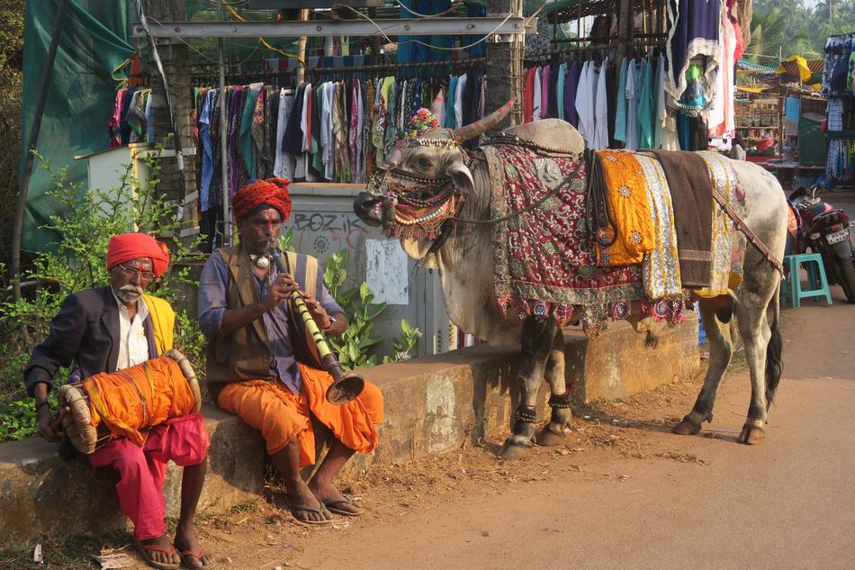 musicians in the traditional market in india