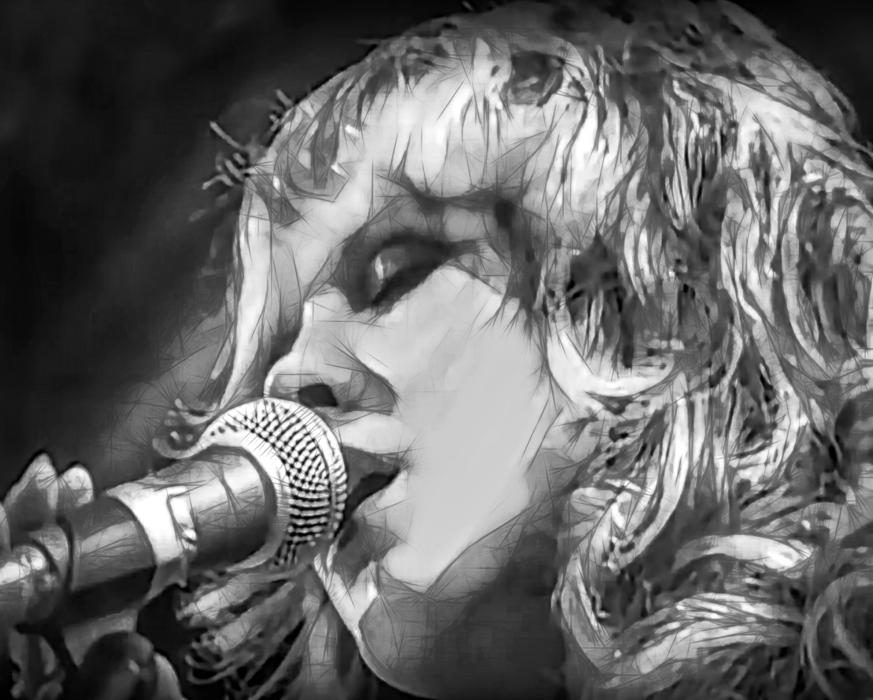 stevie nicks singer