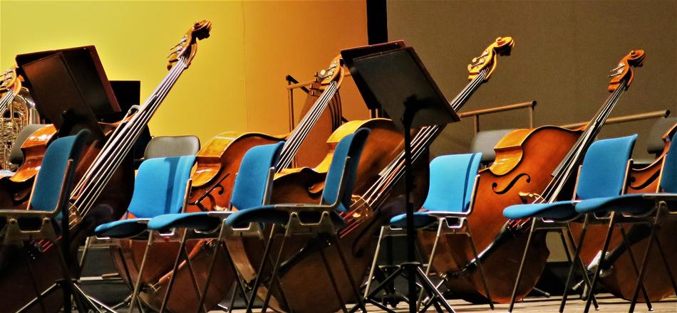 Wooden, double bass instruments, among the blue seats, on the stage
