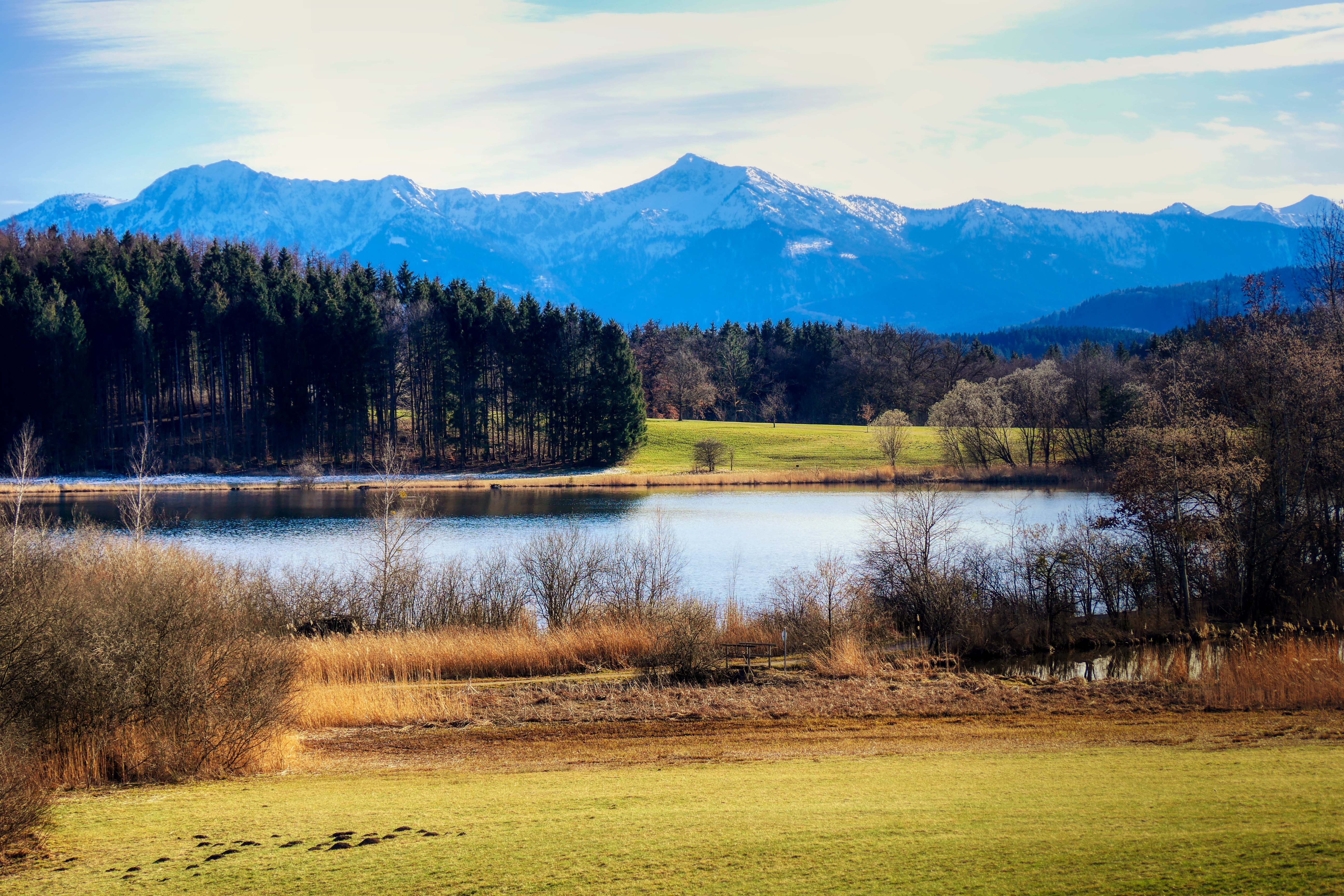 Absolutely Beautiful Lake Forest Landscape Free Image