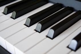 Close-up of the beautiful, white and black piano keys, in the light