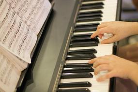 Piano Hands Playing