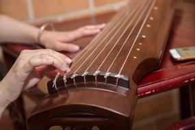 girl's hands on a stringed instrument