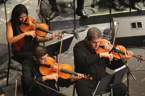 photo of violinists in the orchestra