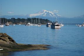 sailboats in the harbor in Washington