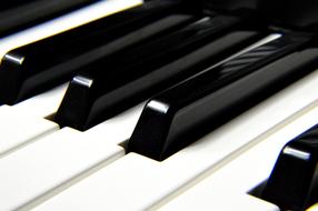 closeup picture of Keys of piano musical Instrument