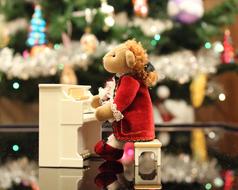 bear playing piano
