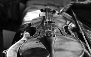 Violin Black And White