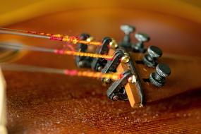 strings of a wooden musical instrument, close-up