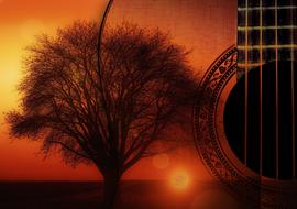 guitar strings instrument