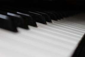 Piano Instrument white