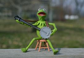 Kermit Frog with Muppet
