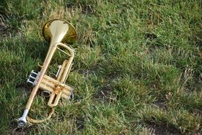 Instruments Horns grass