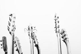 heads of Guitars, black and white