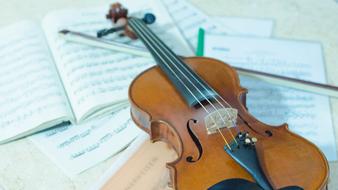 Music Still Life violin