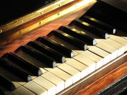 macro photo of the keys of an old musical instrument