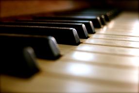 Piano Keys, soft focus