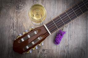 Alcohol Drink , neck of guitar and purple flowers on table