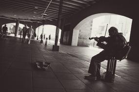 Street Performer Musician