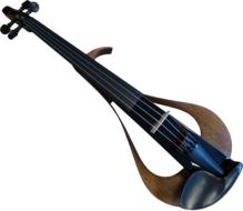 Beautiful e violin, at white background