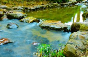 silent natural river