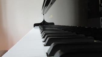 macro photo of the keys of a modern piano