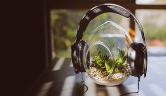 Black headphones on aquarium