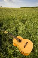 Guitar on green grass