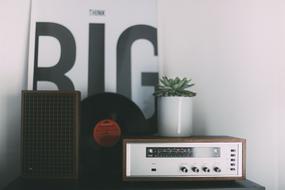 radio and plant