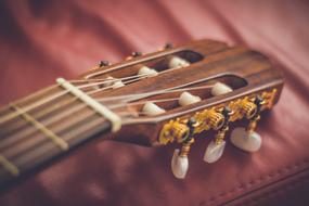 guitar head on leather sofa