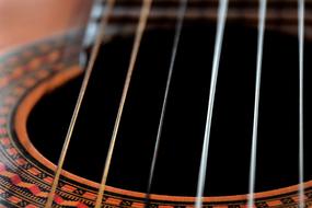 Musician Color
