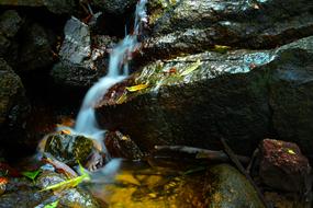 forest stream flows down the stones