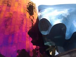 Seattle Museum Experience