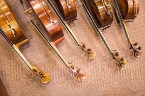 wooden classic violins