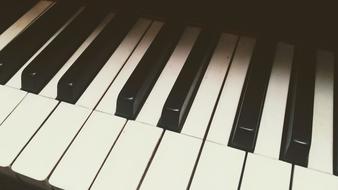 white Piano Keys Musician