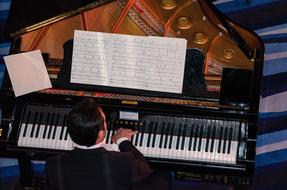 aerial view of player and Piano Music Instrument