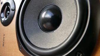 Close-up of the beautiful black and brown "Sony" speaker