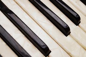 macro photo with an accordion key