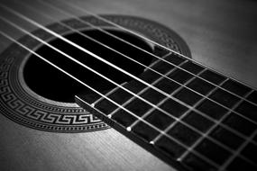 ornate body of Guitar, detail
