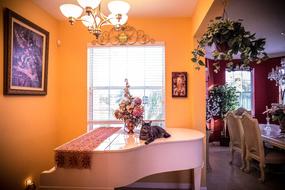Beautiful interior of the room with colorful decorations, and colorful cute cat lying on the white piano in light