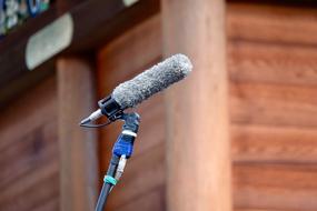 Microphone with windshield