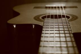 Guitar Ropes macro