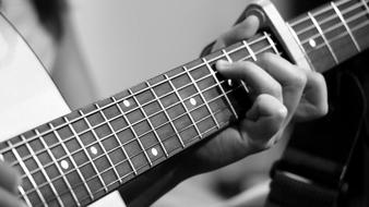 Instrument Bowed Stringed