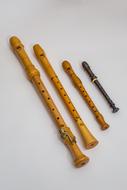 Flute Recorder Musical