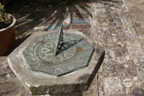 Beautiful, patterned, antique sun dial near the plant, with the shadow