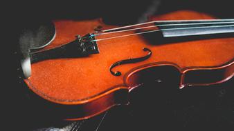 body of Violin at darkness
