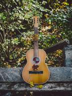 wood Acoustic Guitar on the bench